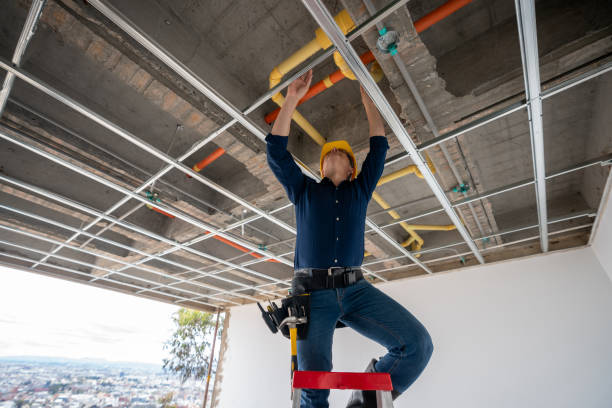 Best Plumbing Services Near Me  in Easley, SC