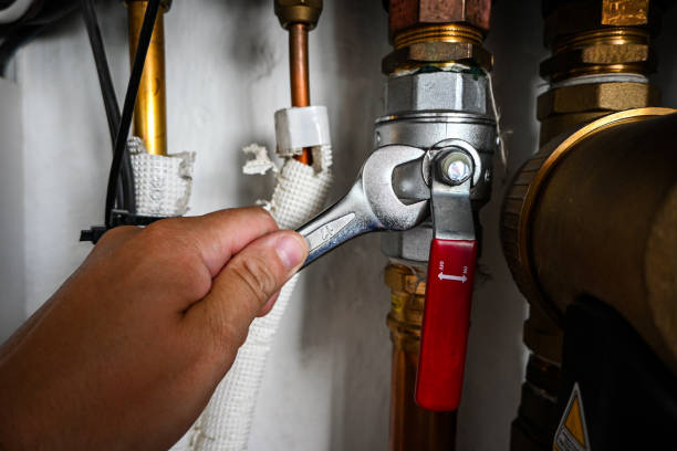 Best Local Plumber Services  in Easley, SC